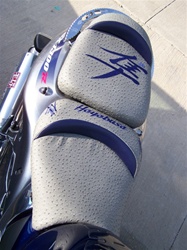 "New Image" Custom Hayabusa Grey Ostrich & Dark Blue Embroidered Front/Rear Seats