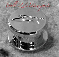 Engraved ZX-14 Logo Exhaust Hanger Peg Plug