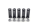 Brock's Performance Clutch Spring Kit With .280 Thick Spacer ZX-14 (06-11)